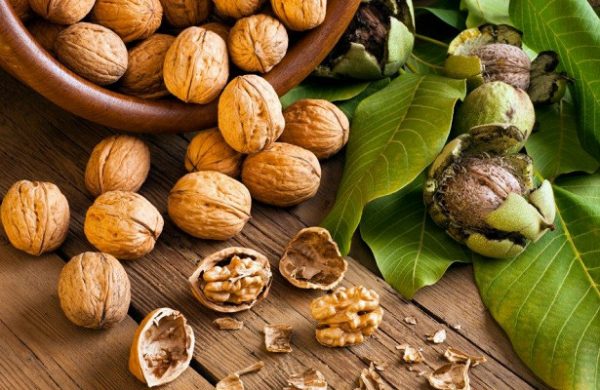 Грецкие орехи – профилактическое средство язвы и рака