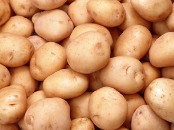 Как картофель влияет на человека с точки зрения эндокринологии?