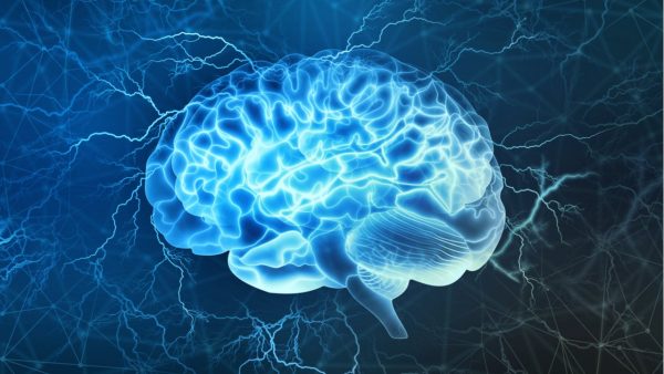 От чего стареет головной мозг?