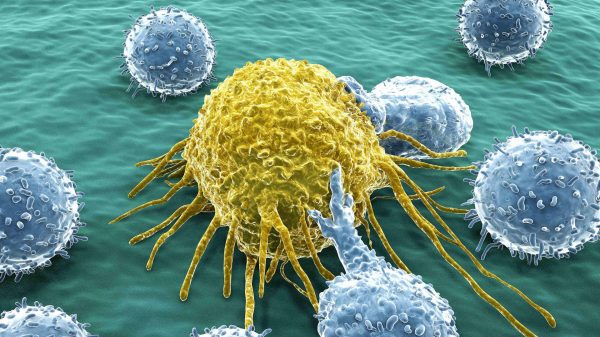 Иммунотерапия для терапии раковых заболеваний: плюсы, противопоказания и последствия