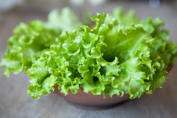 Как не отравиться зеленым салатом?