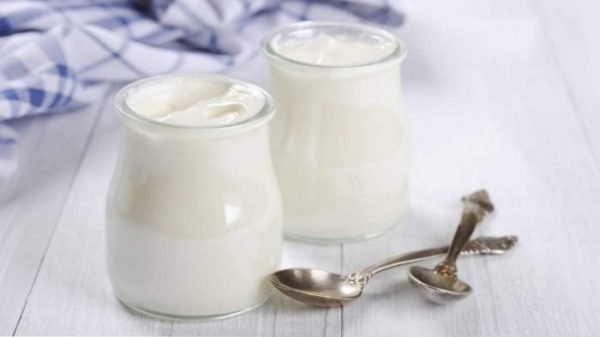 zakvaska dlya jogurta 3 recepta prigotovleniya v domashnih usloviyah 19 e1545900845545