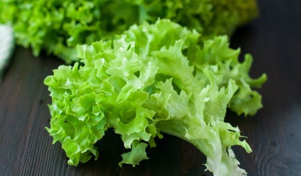 Какую пользу приносит листовой салат для нашего организма?